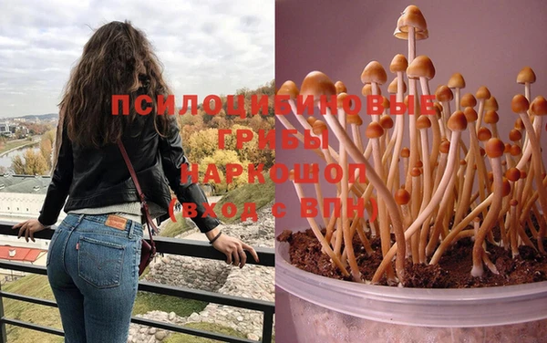 трава Алексеевка